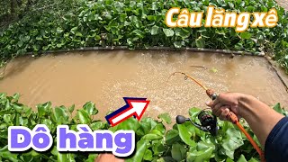 Câu lăng xê ở bãi câu 20k tạp hoá Diệu Hiền, địa điểm câu cá trí