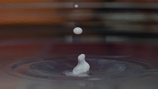 Water Drop Photography is soooo EASY (NOT!) screenshot 4