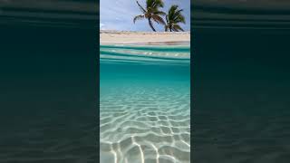 Paradise Beach — Crystal Shallows | Soft Ocean Waves for Sleep &amp; Calm