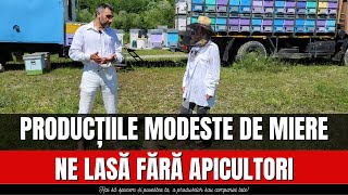 Producțiile modeste de miere ne lasă fără apicultori