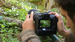 MACRO PHOTOGRAPHY IN THE FOREST | Spring flowers