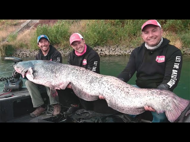 Concours float tube, bateaux, street fishing pays de loire