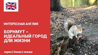 ИНТЕРЕСНАЯ АНГЛИЯ | БОРНМУТ - ИДЕАЛЬНЫЙ ГОРОД ДЛЯ ЖИЗНИ | ЛУЧШИЕ ПЛЯЖИ И ПАРКОВЫЕ ЗОНЫ | BOURNEMOTH