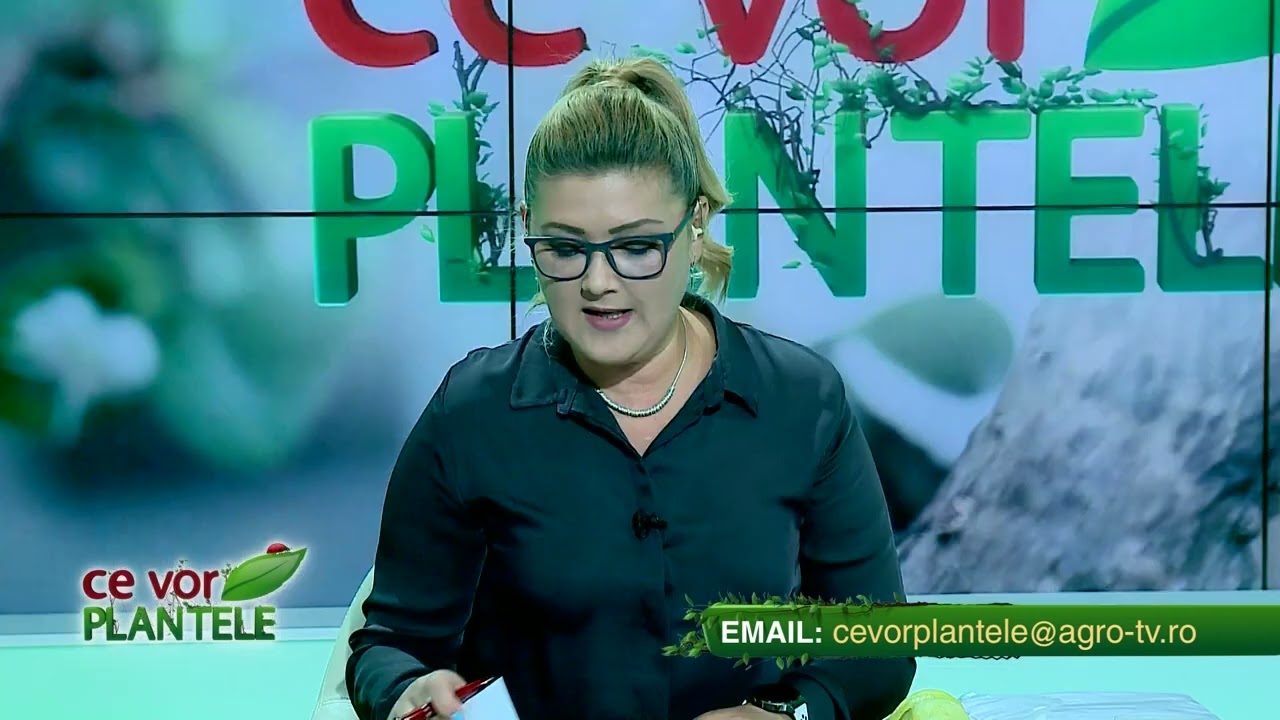 VIDEO Dr. Ing. Horia Ghibu - Cum tratăm pomii fructiferi împotriva moniliozei 1 VIDEO Dr. Ing. Horia Ghibu - Cum tratăm pomii fructiferi împotriva moniliozei YouTube player