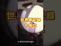 世界がビビり散らかした、セイコーの伝説エピソード3つ。爆速解説 #shorts