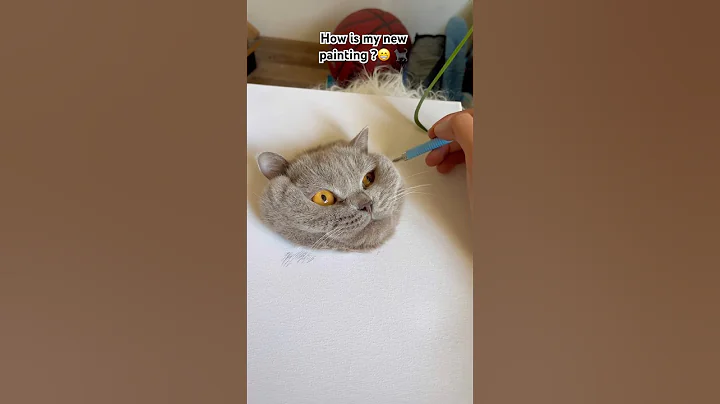 Video 11674821: cat pets cutecat funny, cat pet fun cute