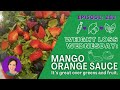 Mango Orange Sauce | WEIGHT LOSS WEDNESDAY - Episode: 282