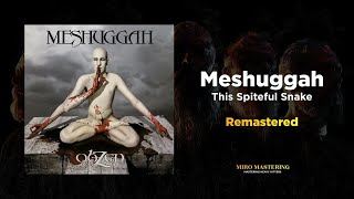 Watch Meshuggah This Spiteful Snake video