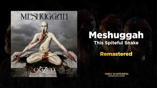 Meshuggah - This Spiteful Snake (Modern and Massive Remaster)