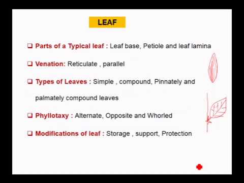 Vikasana 2019 CET karnataka Examination Tutorial Biology Part 08 by bharati kale Vikasana 2019 CET karnataka Examination Tutorial Biology Part 08 by bharati kale