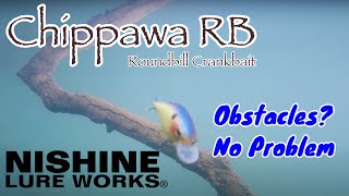 [CRANKBAIT]  CHIPPAWA RB BASIC MODEL by NISHINE LURE WORKS