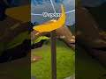 w update #animalcompany #fyp #viral #vr #famous #cool