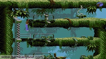 Flashback: The Quest for Identity: Part 1 - Who Am I?