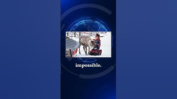 Quantum Leap Error Rate Smashed