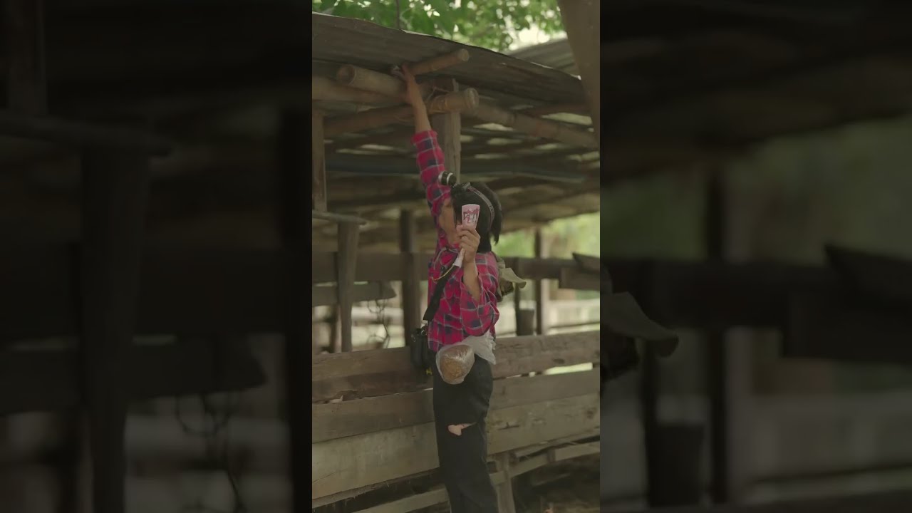 ตอน..นายฮ้อยต้อม