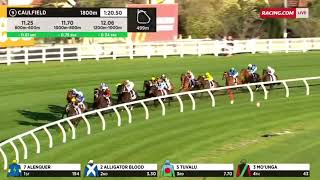 2023 Live Life Foundation Underwood Stakes 1800M - Caulfield - Alligator Blood 3YO+G1