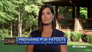 Insurers are preparing for payouts as twin storms make landfall