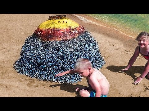 Video: In Nuova Zelanda, Molte Ossa Di Adulti E Bambini Sono State Trovate Sulla Spiaggia - Visualizzazione Alternativa