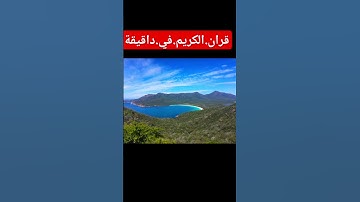 سورة.الزمر.سعود.الشريم #المصحف #quran #nature #flowers #اكسبلور #لايك #ترند احترم.القران.دقيقة #في