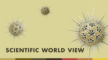 Scientific World View