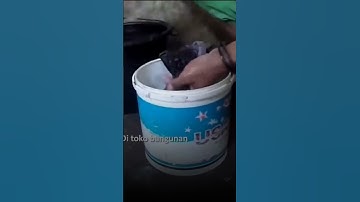 Thumbnail of Gini Lho Cara Penjual Nakal Bikin Cincau Sembarangan, Apa Aja Dicampurin!! 🤮 #shorts