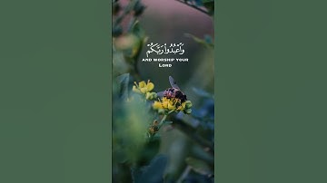 [ سورة الحج: 77 ]  - QURAN VERSES