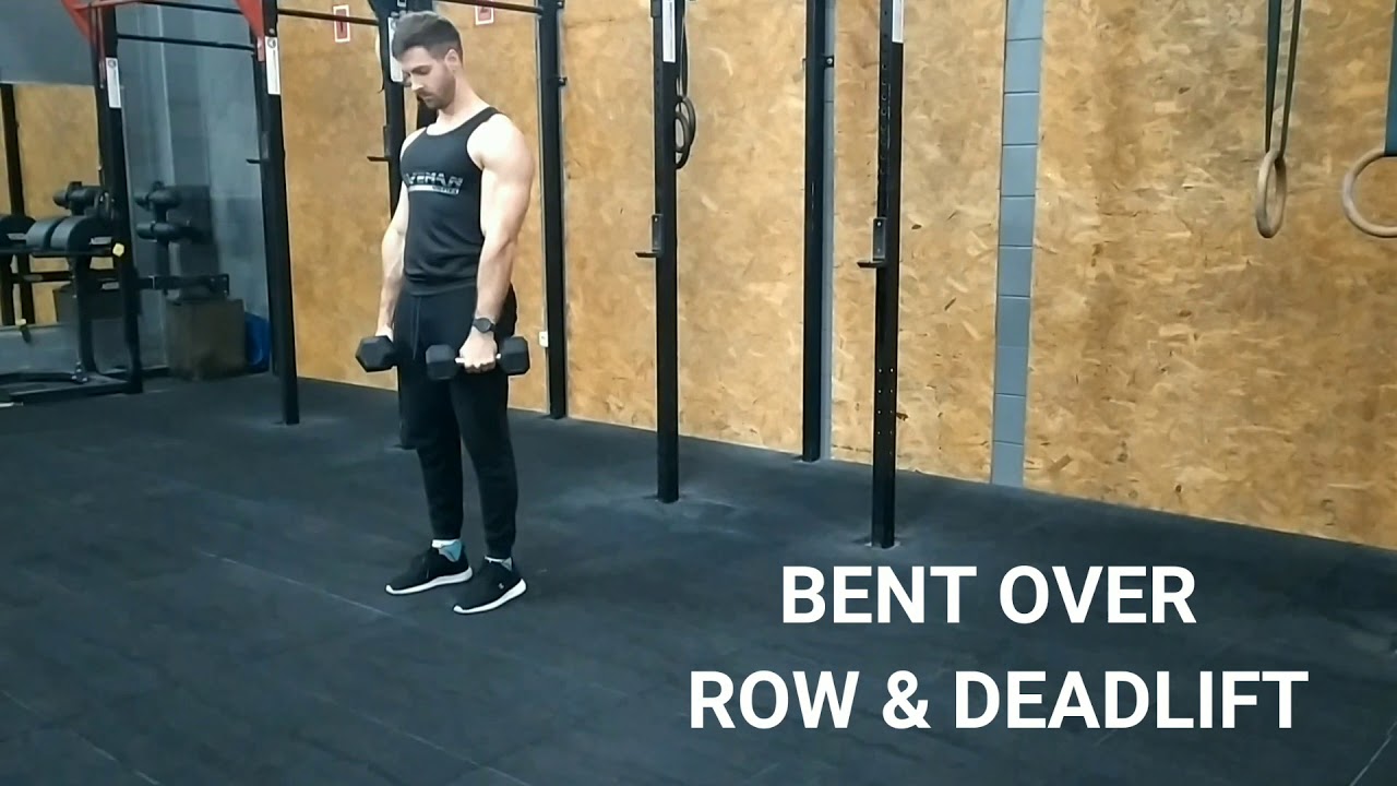Dumbbell bent over row & deadlift - YouTube