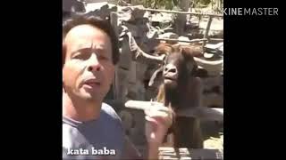 Kata baba versi hewan kurban ala onder spot