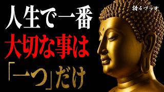 [Buddha's teachings] There is only one thing that is truly important in life