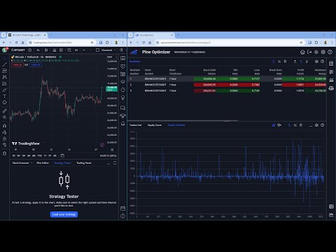 Pine Optimizer video preview 2