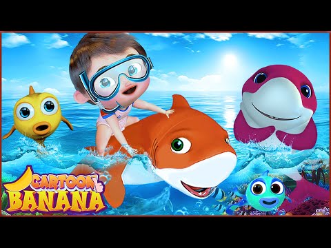 La danse du requin bébé | plus de chansons pour enfants | Banana Cartoon LE Français