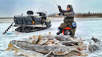 рыбалка в россии портал рыбака- летняя и зимняя рыбалка видео