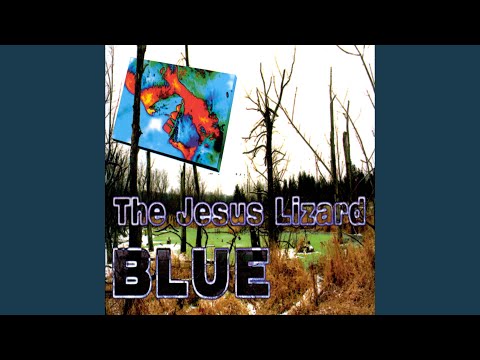 the jesus lizard cold water