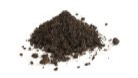 How to Extract DNA from Soil using the Presto™ Soil DNA Extraction Kit