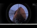 TheHunter Classic Whiterime Ridge 10 Animal Kills Speedrun World Record !
