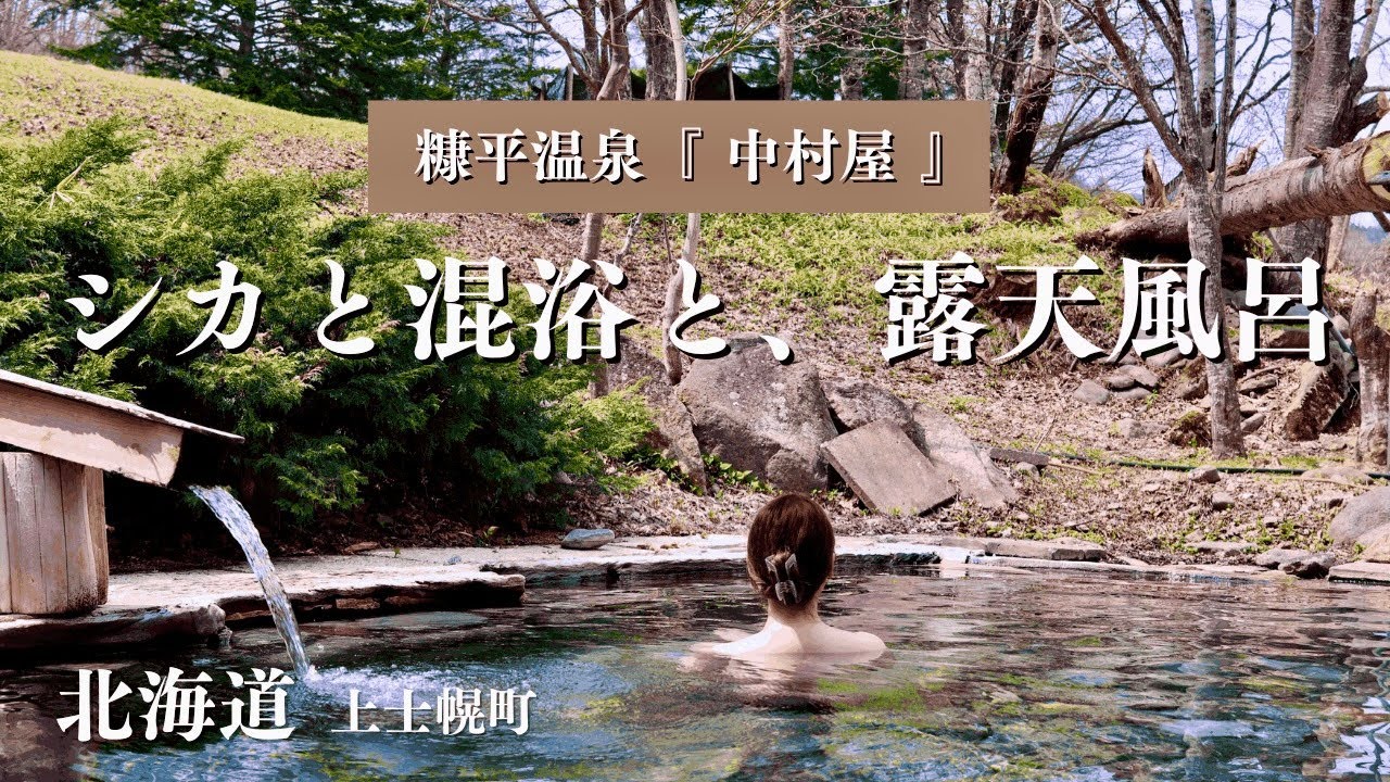 【野生のシカと混浴！？】大自然ど真ん中・秘湯「糠平温泉 中村屋」が衝撃すぎた…♨️|北海道・十勝|