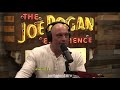Joe Rogan 1