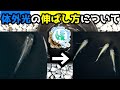 メダカの体外光の伸ばし方/伸ばす方法について【媛めだか】