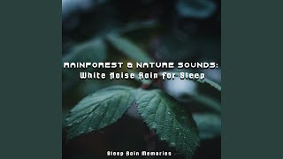 Sleeping Rain