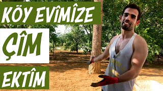 DIY | Çim Nasıl Ekilir? | Köy Evimize Çim Ektim