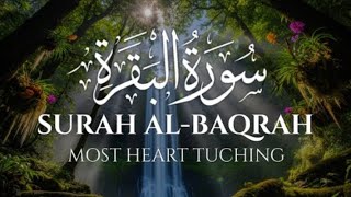 Surah Al Baqarah Full Talha Bashir & Salam Saleem With Arabic Text (HD)Quran Majeed  Recitation  screenshot 1