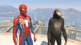 GTA 5 Crazy Ragdolls Red Spiderman VS Gorilla (GTA 5 Euphoria Physics Funny Moments & Fails) 01