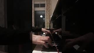 Chopin is crazy 😱he forbid me to play white keys on the piano 😫 #shorts
