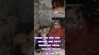 Thank you for two million and fifty thousand views. Please follow me too ✅️🙏