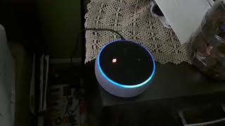 Amazon Echo Dot pressing microphone mute button when I'm about to ask her something