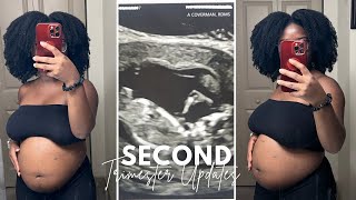 Second Trimester Updates / Venting Session!