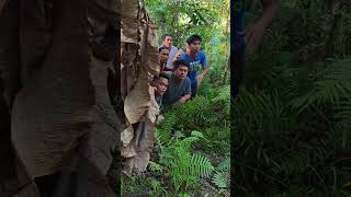 serunya gak ketulungan