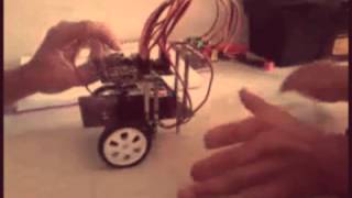 Racebot