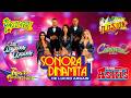 Los Ángeles Azules, Sonora Dinamita, Yaguaru, Rayito Colombiano 💃 Cumbias Viejitas Para Bailar 2026