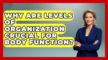 Why Are Levels Of Organization Crucial For Body Function? - All About Anatomy Answers